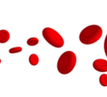 המוסידרוזיס - תמונת אווירה